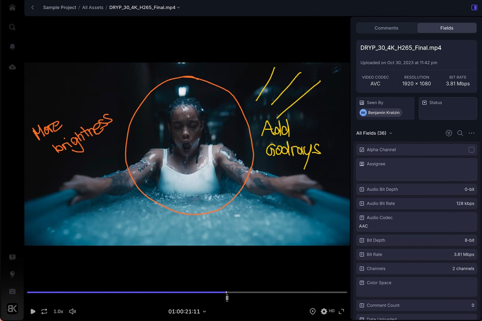 Frame.io Feedback Example