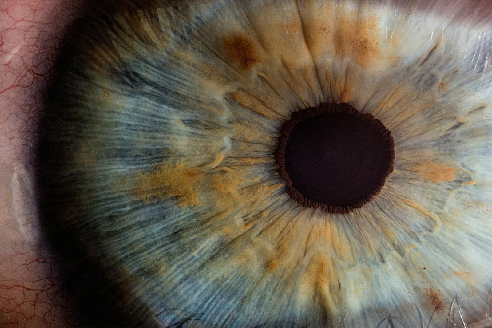 Human Eye Closeup